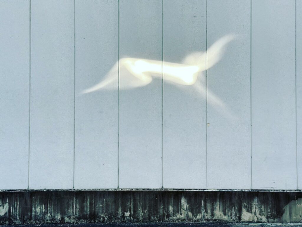 マームとジプシー新作演劇公演《瞬く瞼のあいだに漂う》